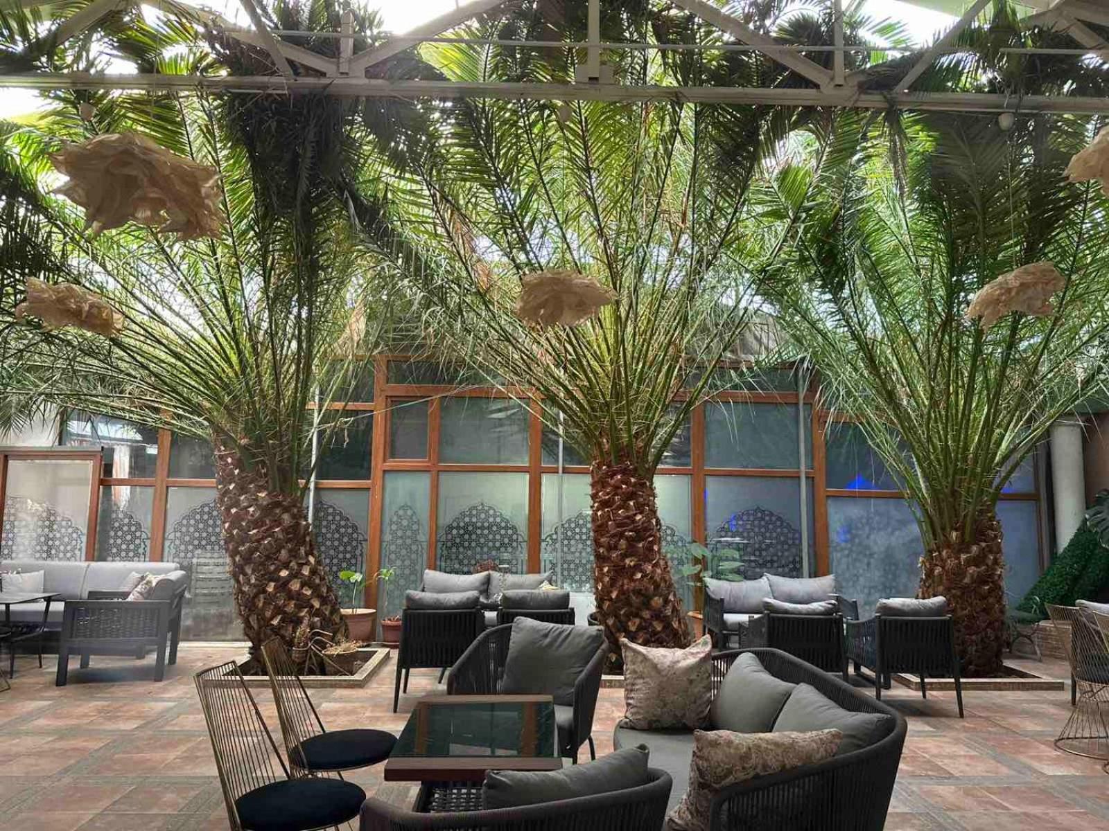 Hotel Bats Petrich  Eksteriør bilde
